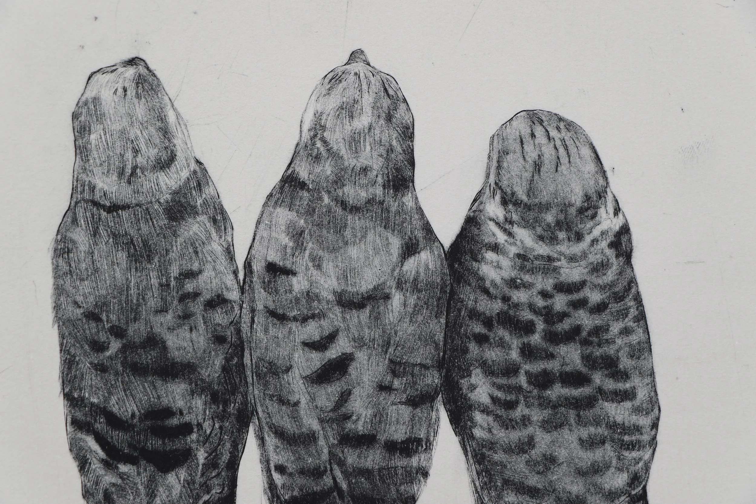  Detail of “Three Kestrels” 