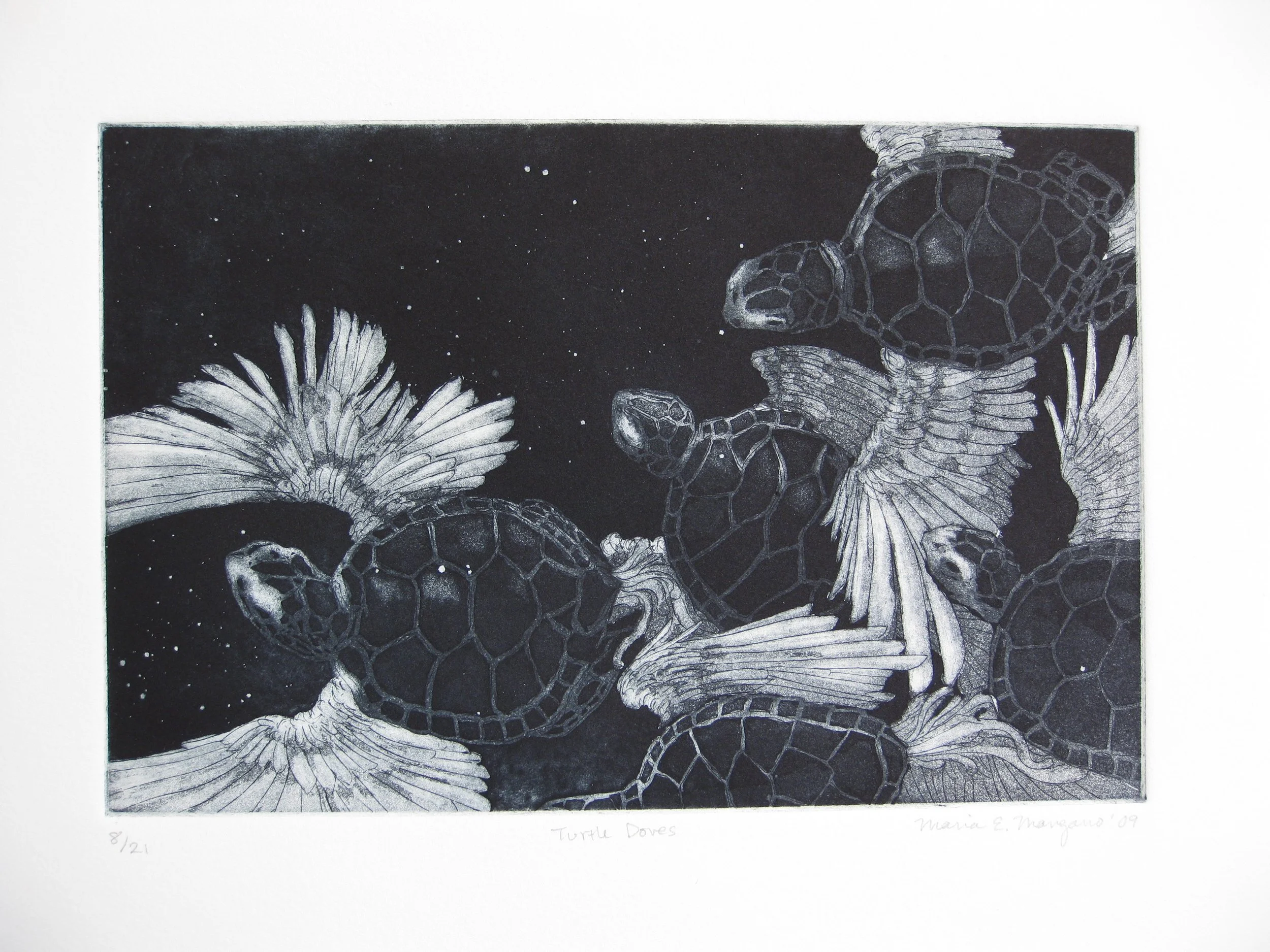  Turtle Doves  etching  2009 