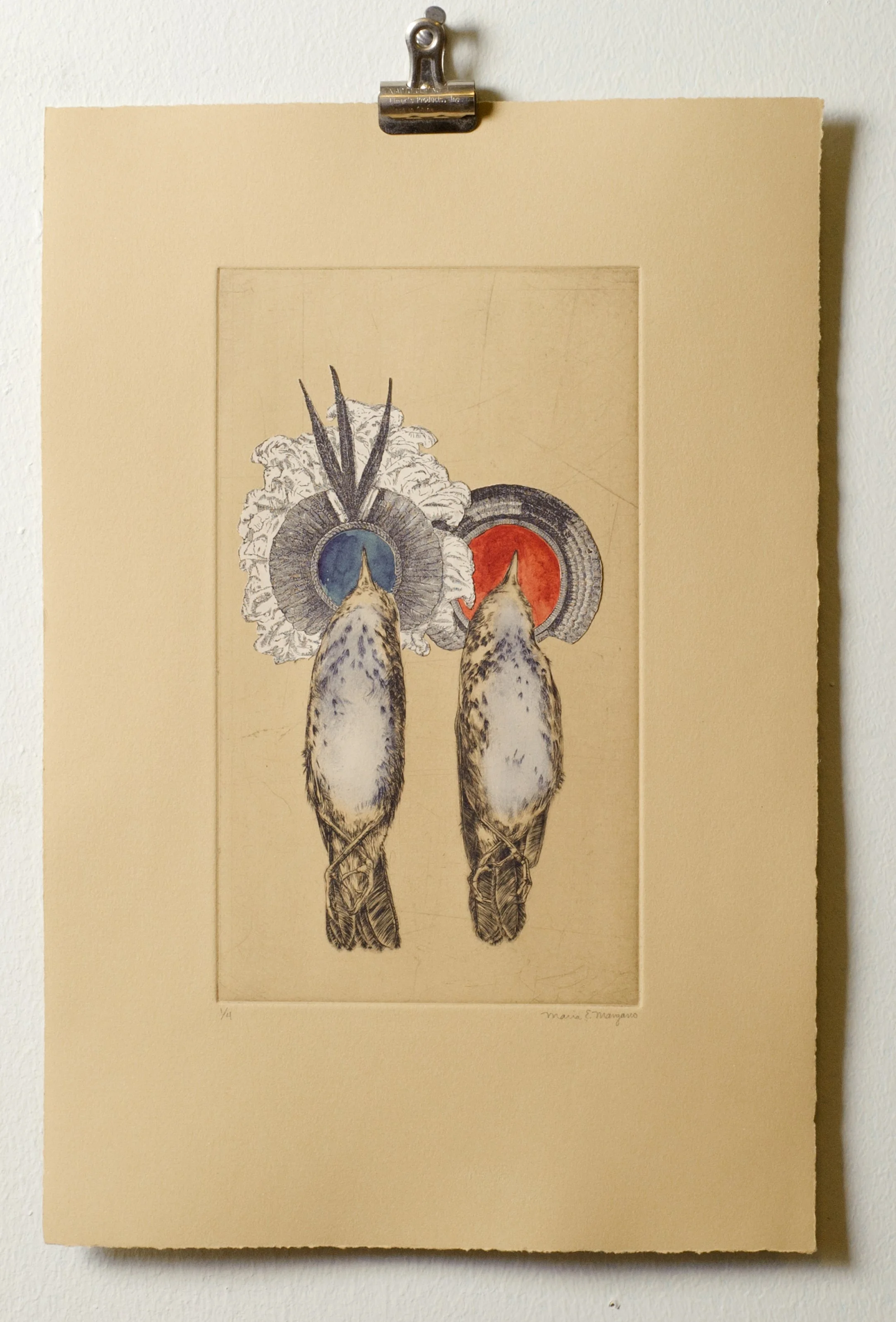  Ovenbirds  engraving with watercolor and collaged elements  2015 