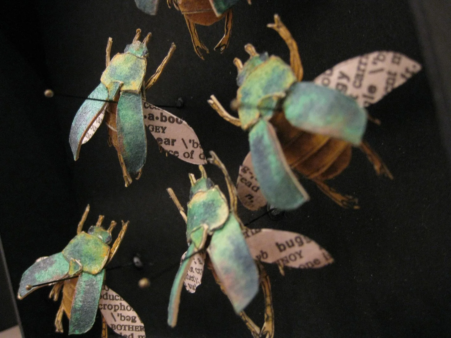 Bugs  found materials and mixed media  2009 