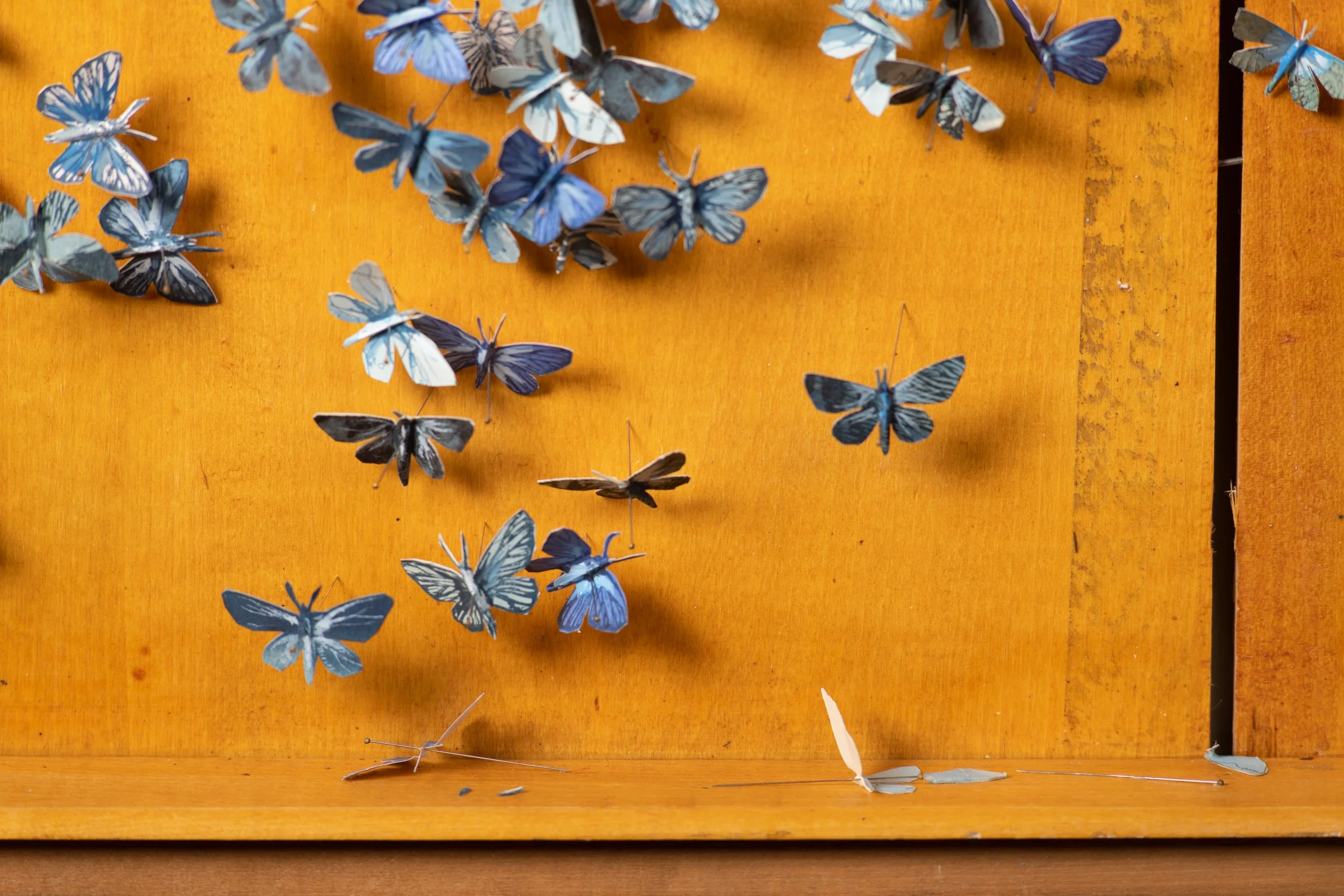  Detail of “I always thought there would be one more” 