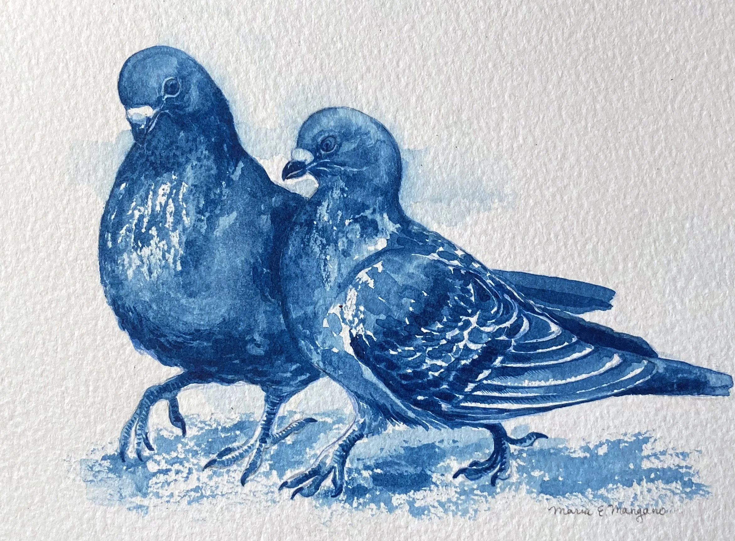 PigeonsAntwerp copy.jpg