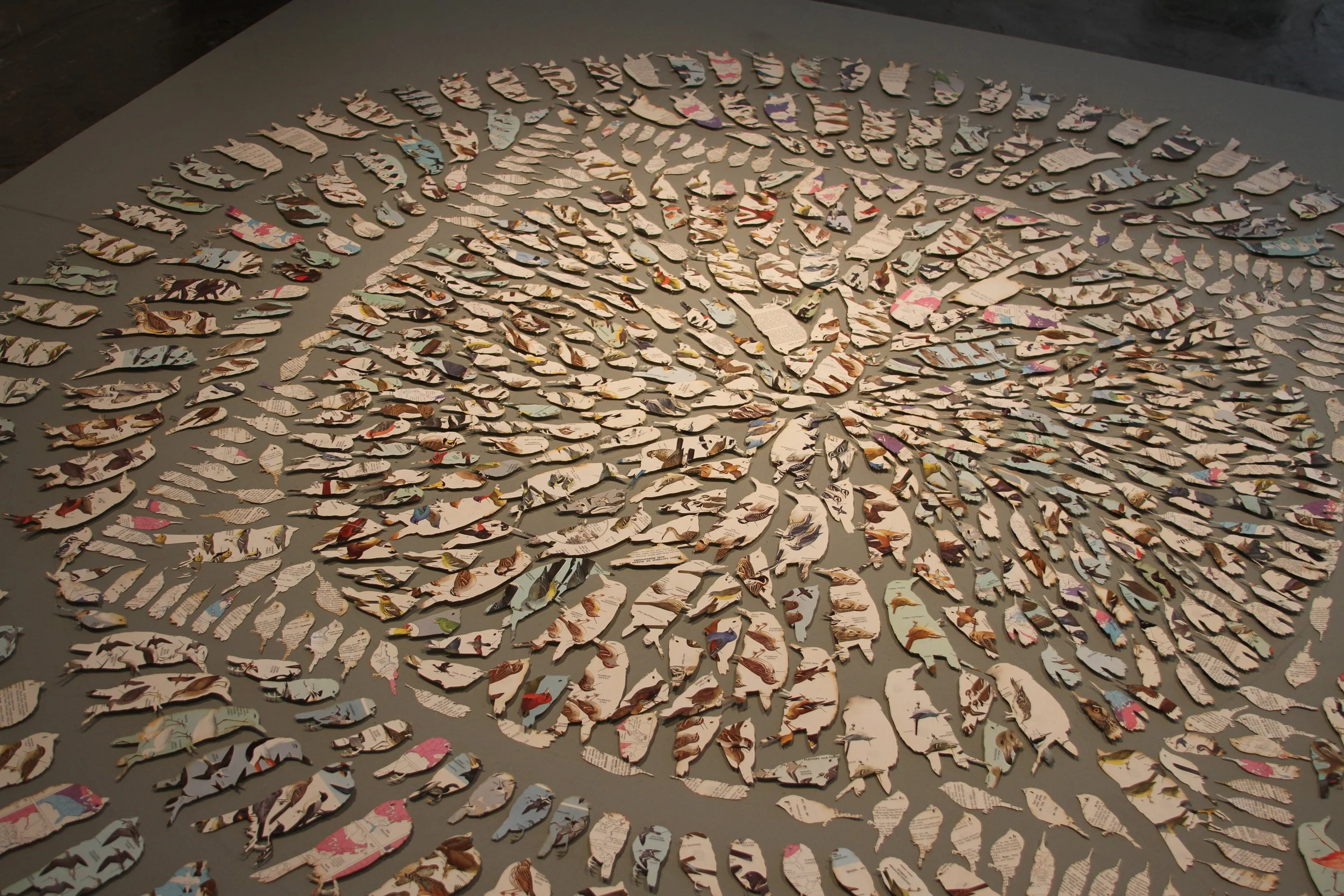  Detail of “Mandala” 