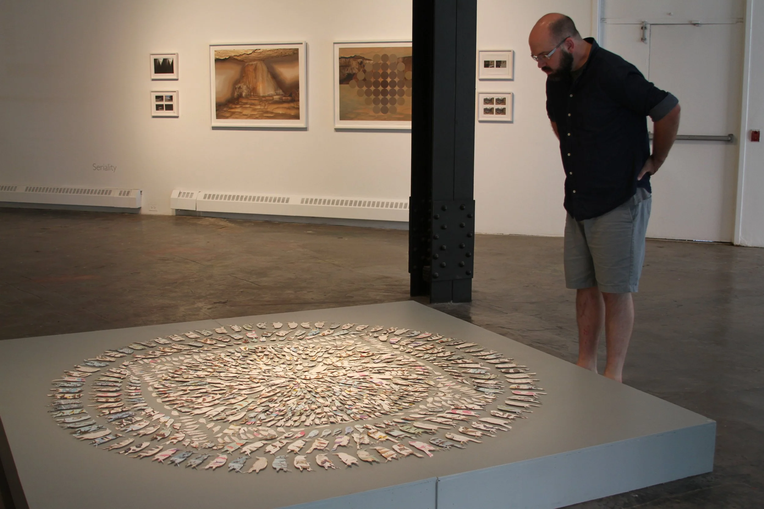  Mandala  Laser-cut bird guides and mixed media  2013 