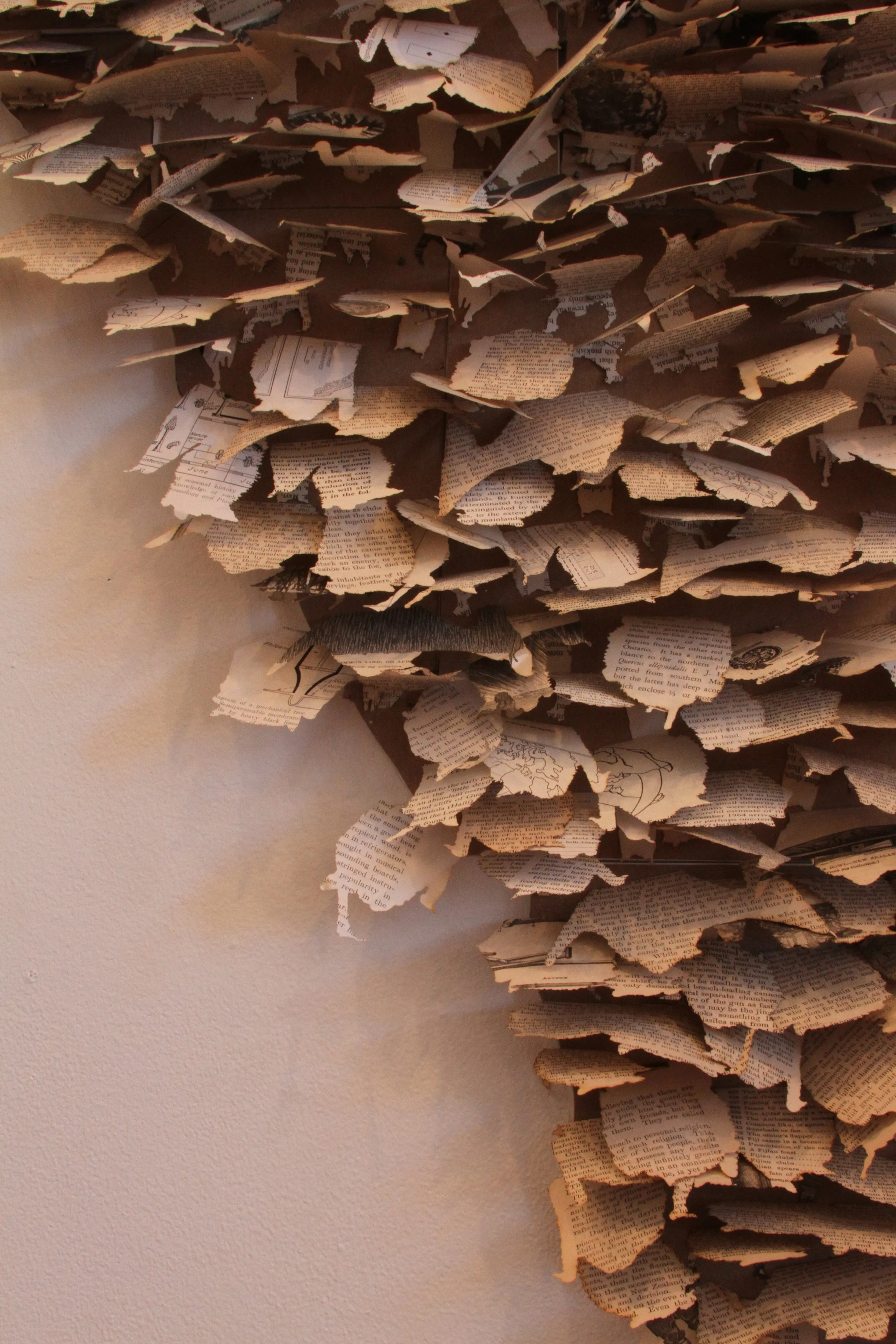  Detail of “Hibernaculum” 