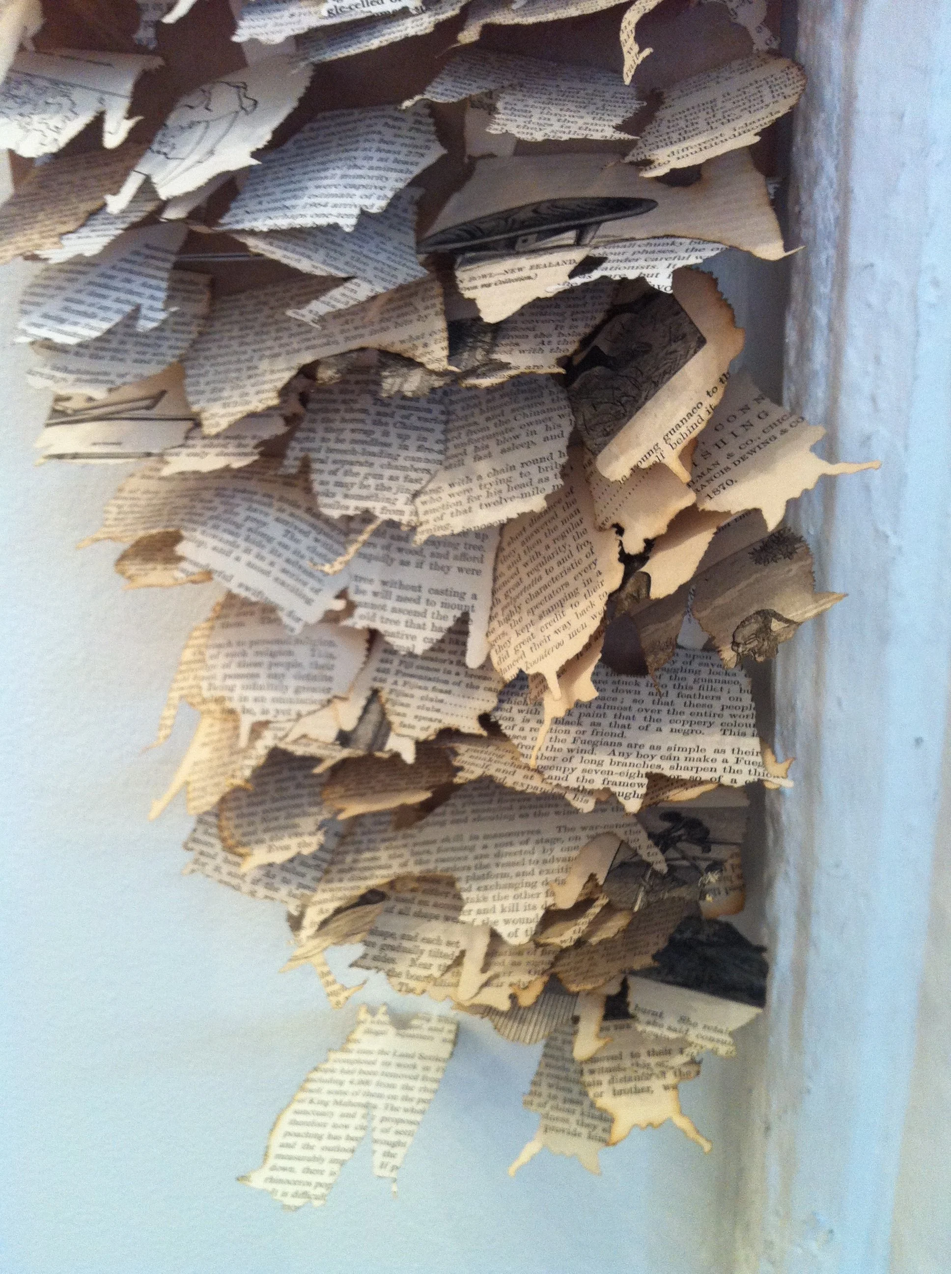  Detail of “Hibernaculum” 