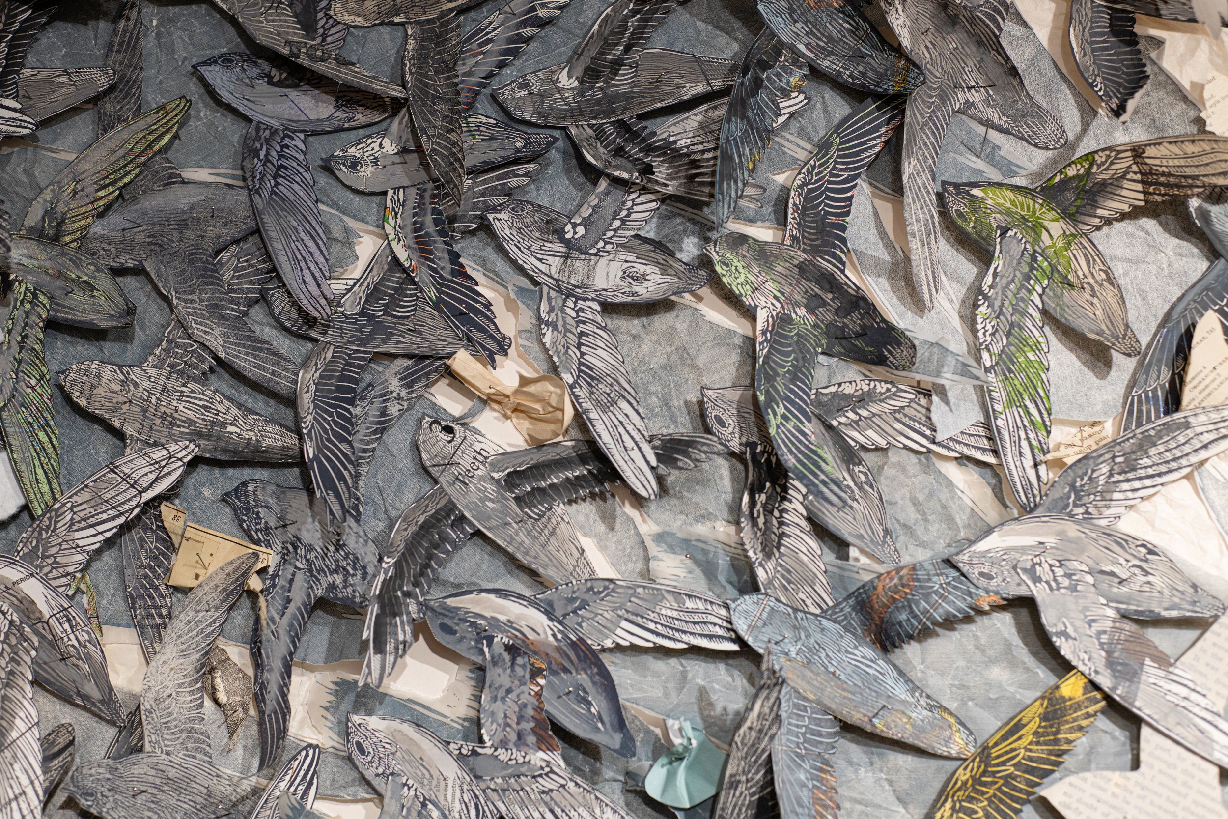  Detail of “Lesser Bodies” 