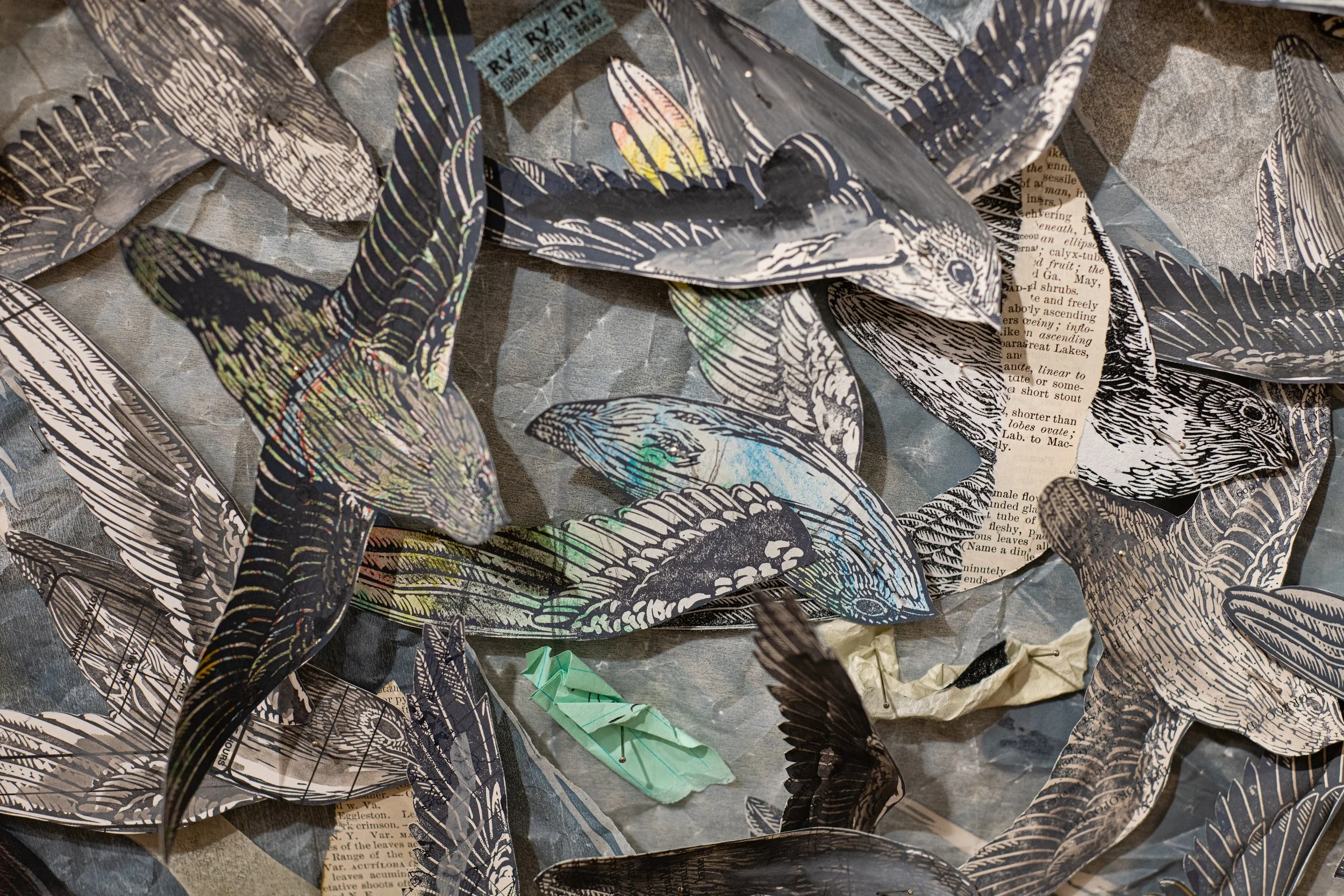  Detail of “Lesser Bodies” 