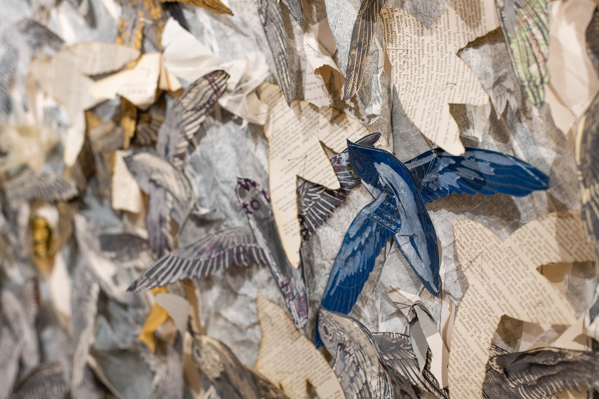  Detail of “Lesser Bodies” 