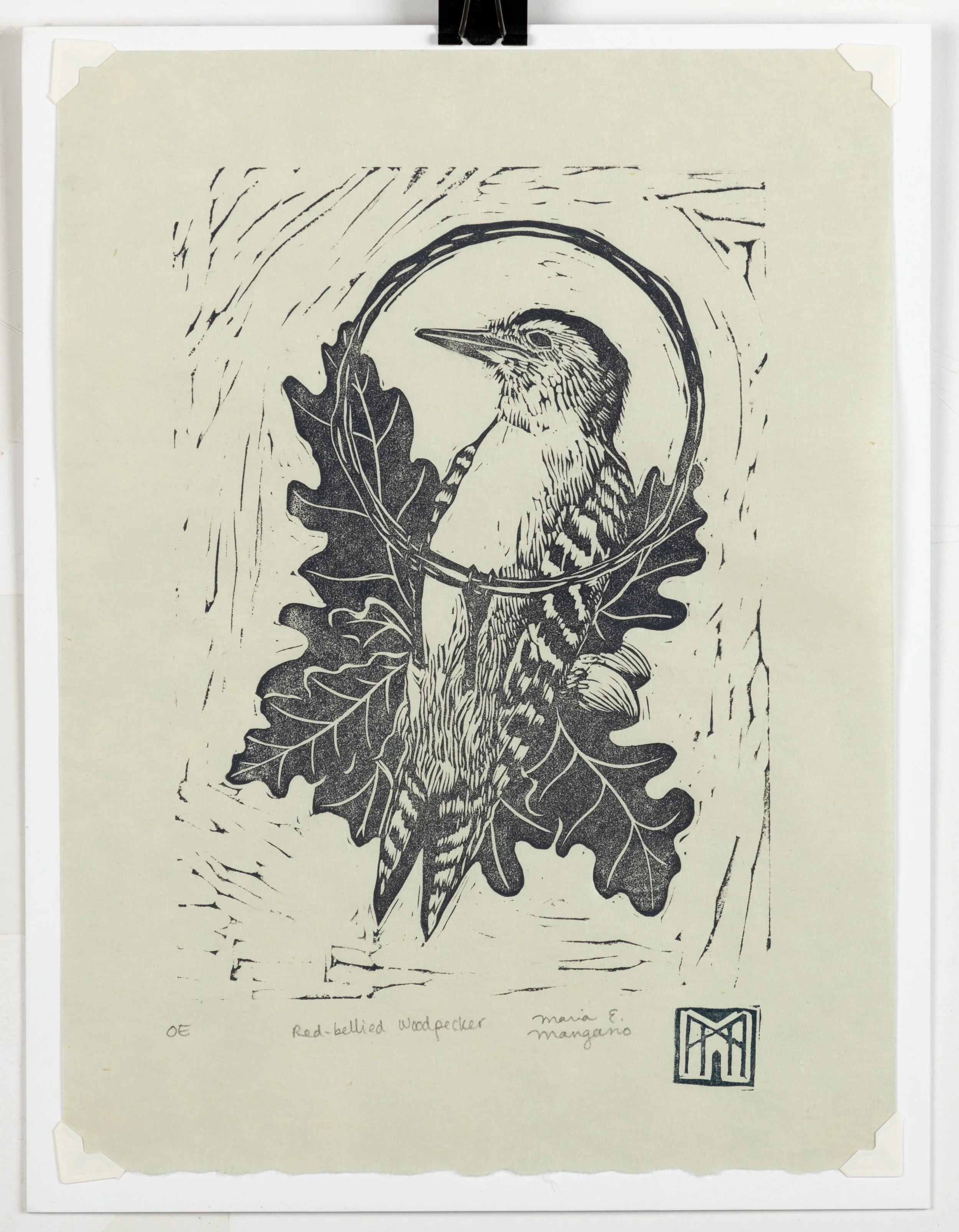  Red-Bellied Woodpecker  relief print  2019 