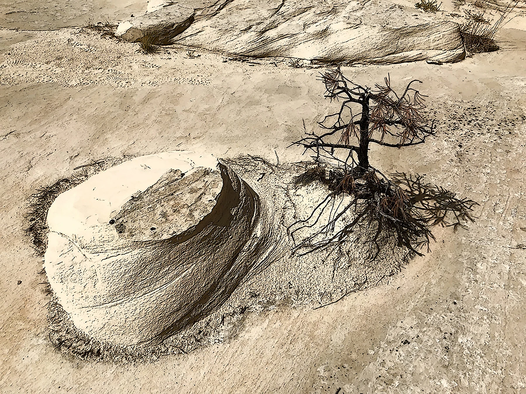 Where Can I Find the Phantom Oasis in Desert Sands? (Bosch), (2018)