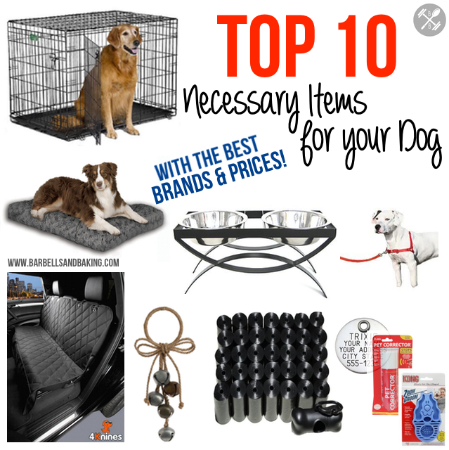 popular dog items