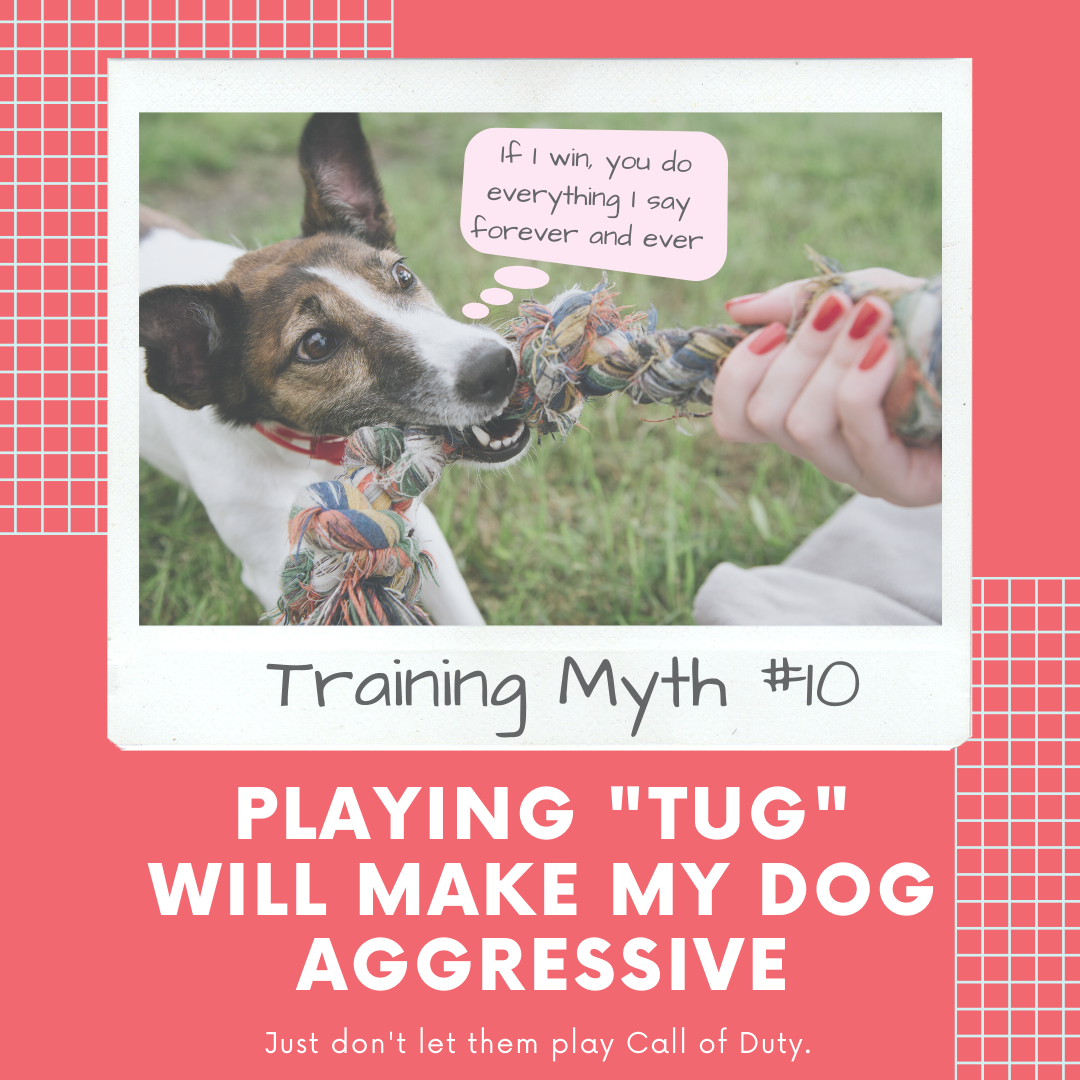 How To Tell If A Dog Will Be Aggressive