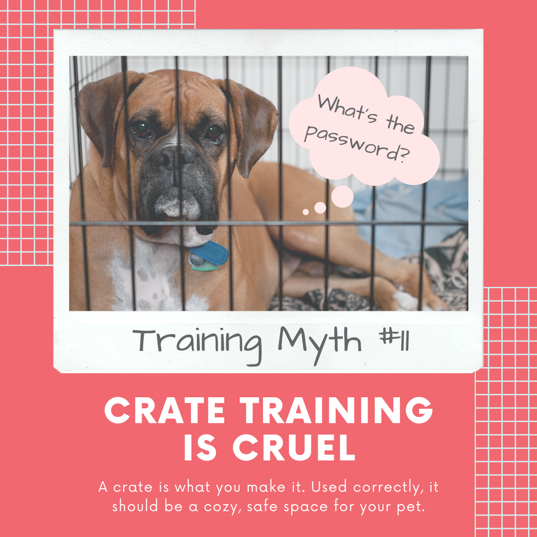 Is Dog Training Cruel