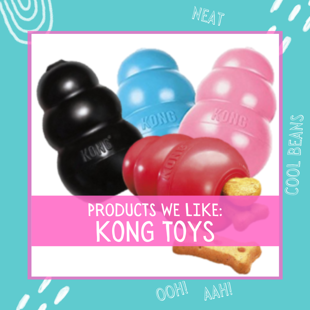 Products We Love: The Kong — Behave Atlanta LLC