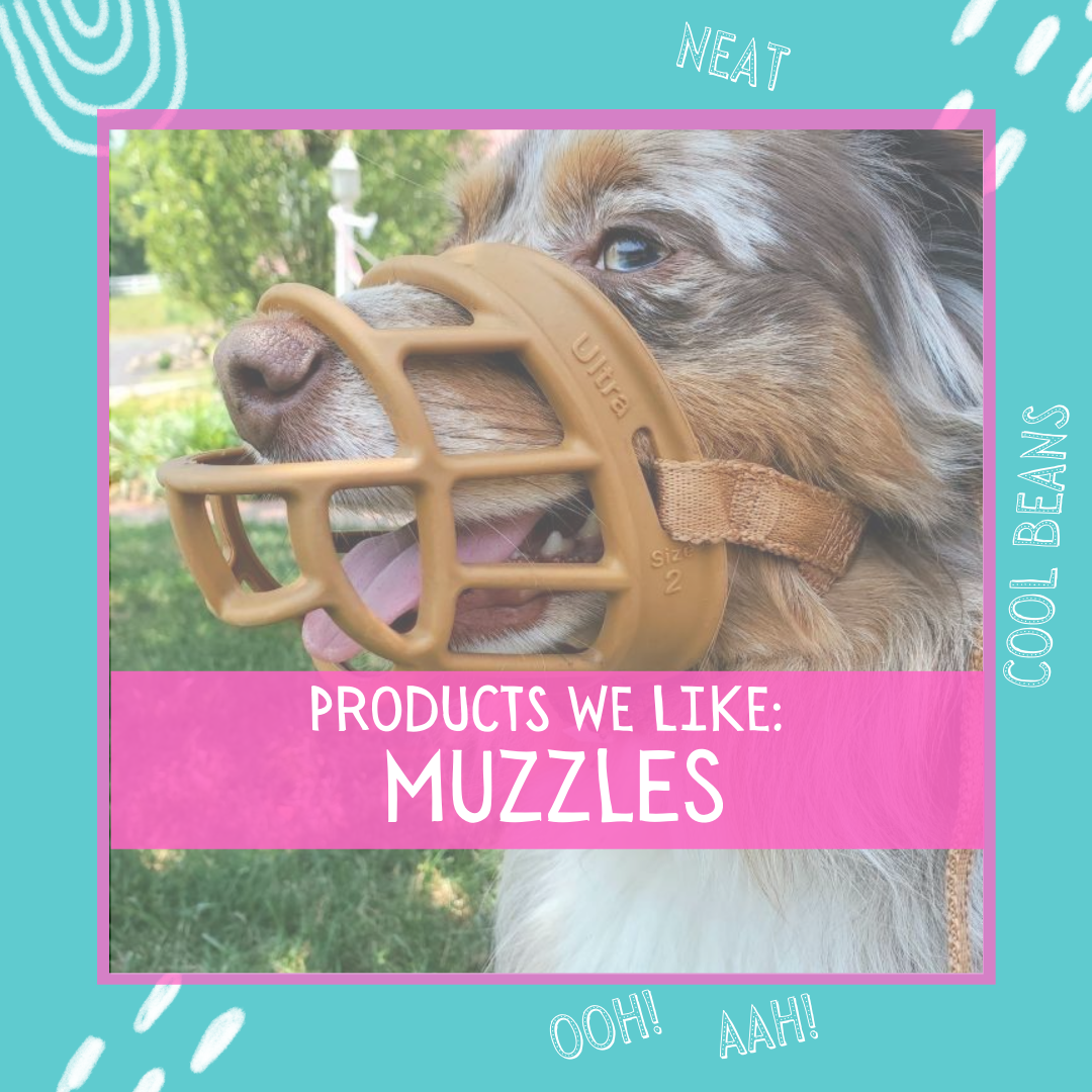 Products We Love: Muzzles