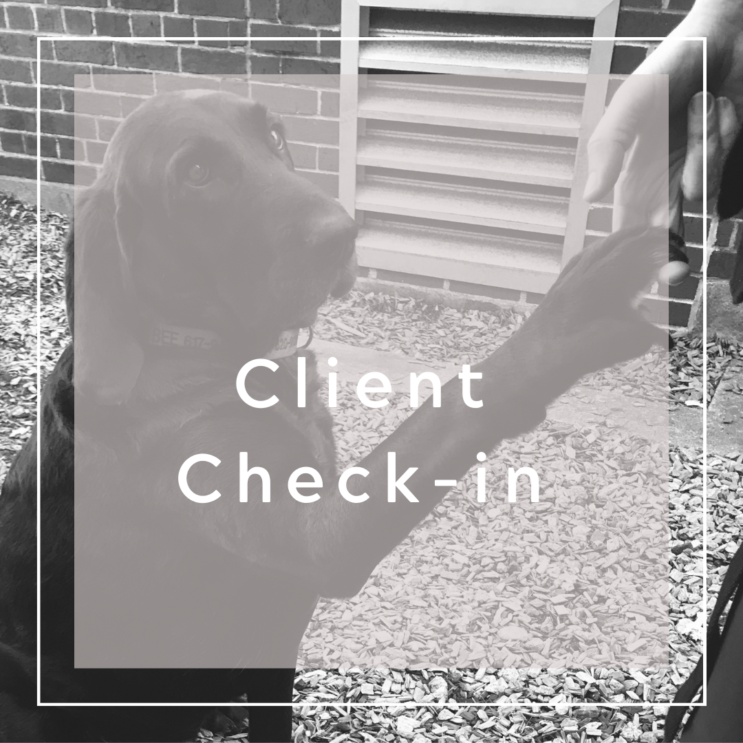 Client Check in Button for Website.png