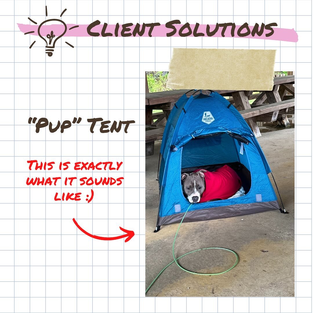 Athena&rsquo;s people love camping, but Athena wasn&rsquo;t so sure. She was a little restless and unable to settle. We recommended giving her a designated spot to relax and escape. And they knocked it out of the park! 
😲🌲
Athena got a tent of her 