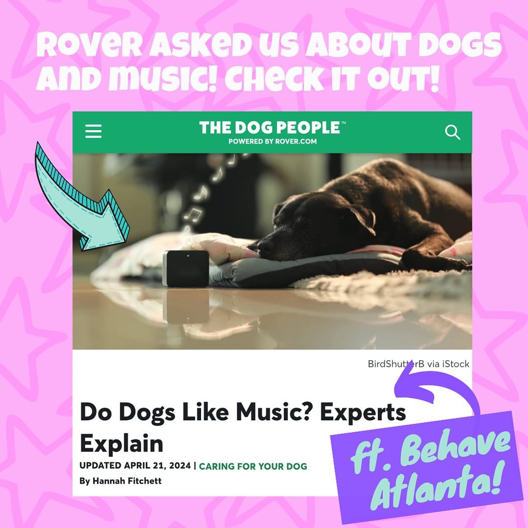 Do you put music on for your dog when you leave the house? Does it help? And if so, what kind of music?⁠
⁠
Rover reached out to us to find out if music can help dogs, and how! Click the link in bio to see what we (and other experts) had to say!⁠
.⁠
.