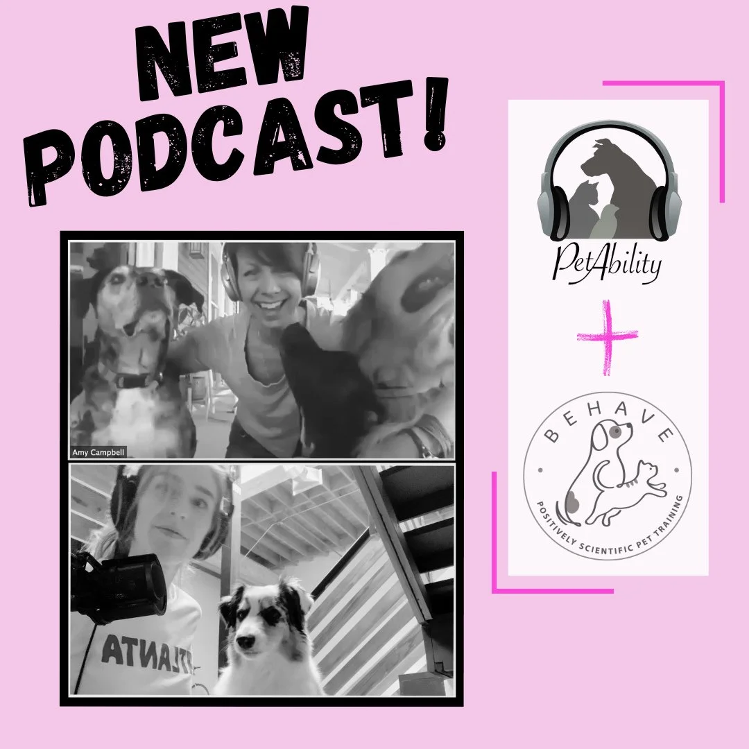 We're back! Somehow it's been 4 years, but Chris and Cathy finally let us back on Petability. The episode was sparked from an article by Katherine Bindley for the WSJ titled "America's Most Dog-Friendly City Has Had Enough." As soon as we r