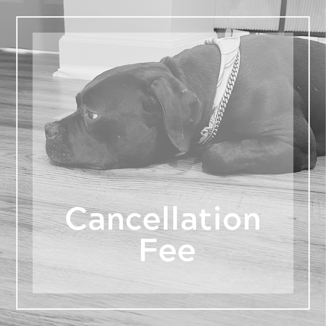 Copy of Copy of Header .png