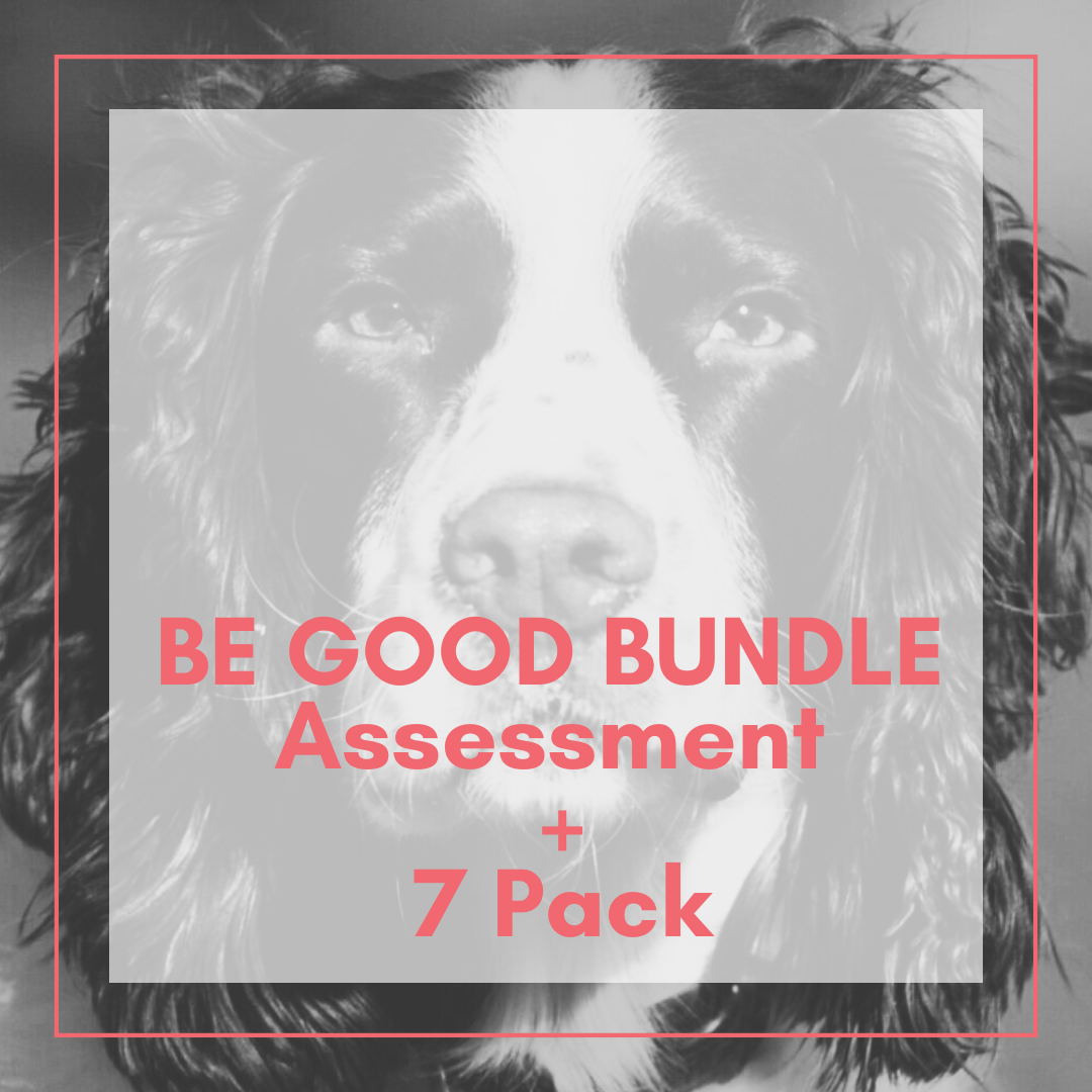 Be Good Bundle — Behave Atlanta LLC
