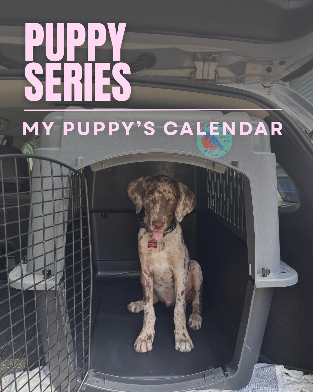 Puppy Series Mat.png