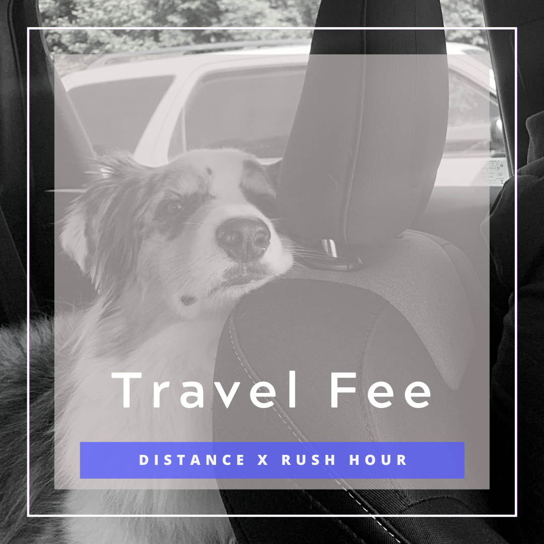 Travel Fee.png