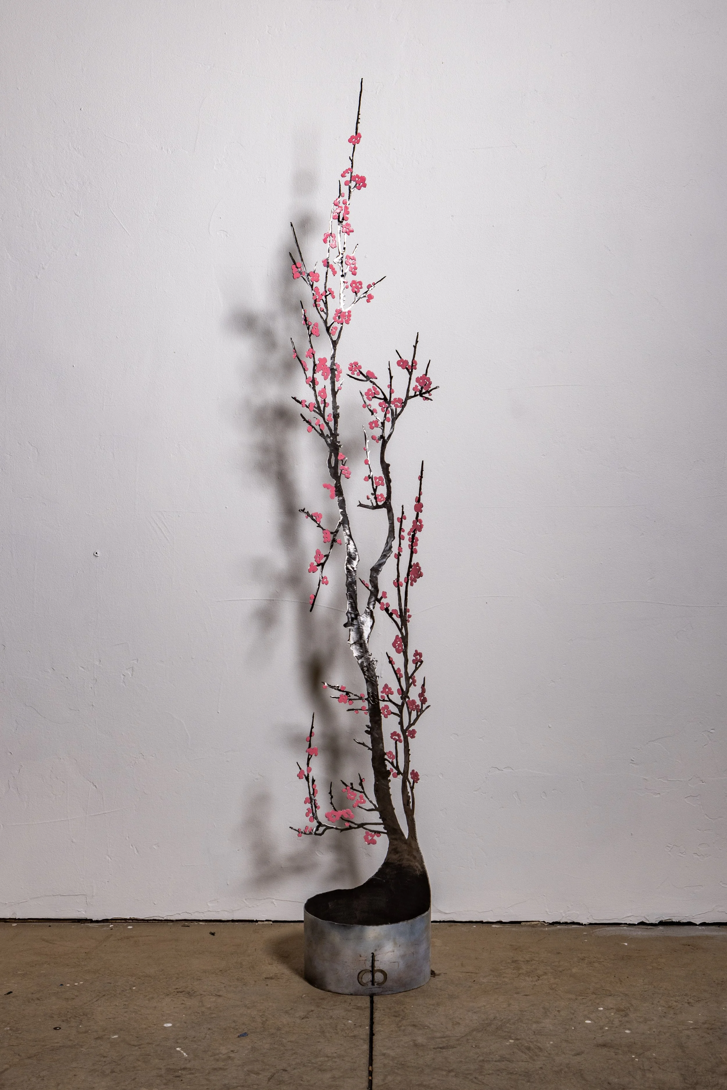 Winter Blossoms Pink