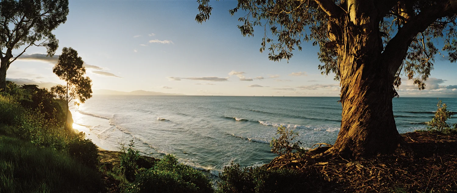 Ocean View md WEB .jpg