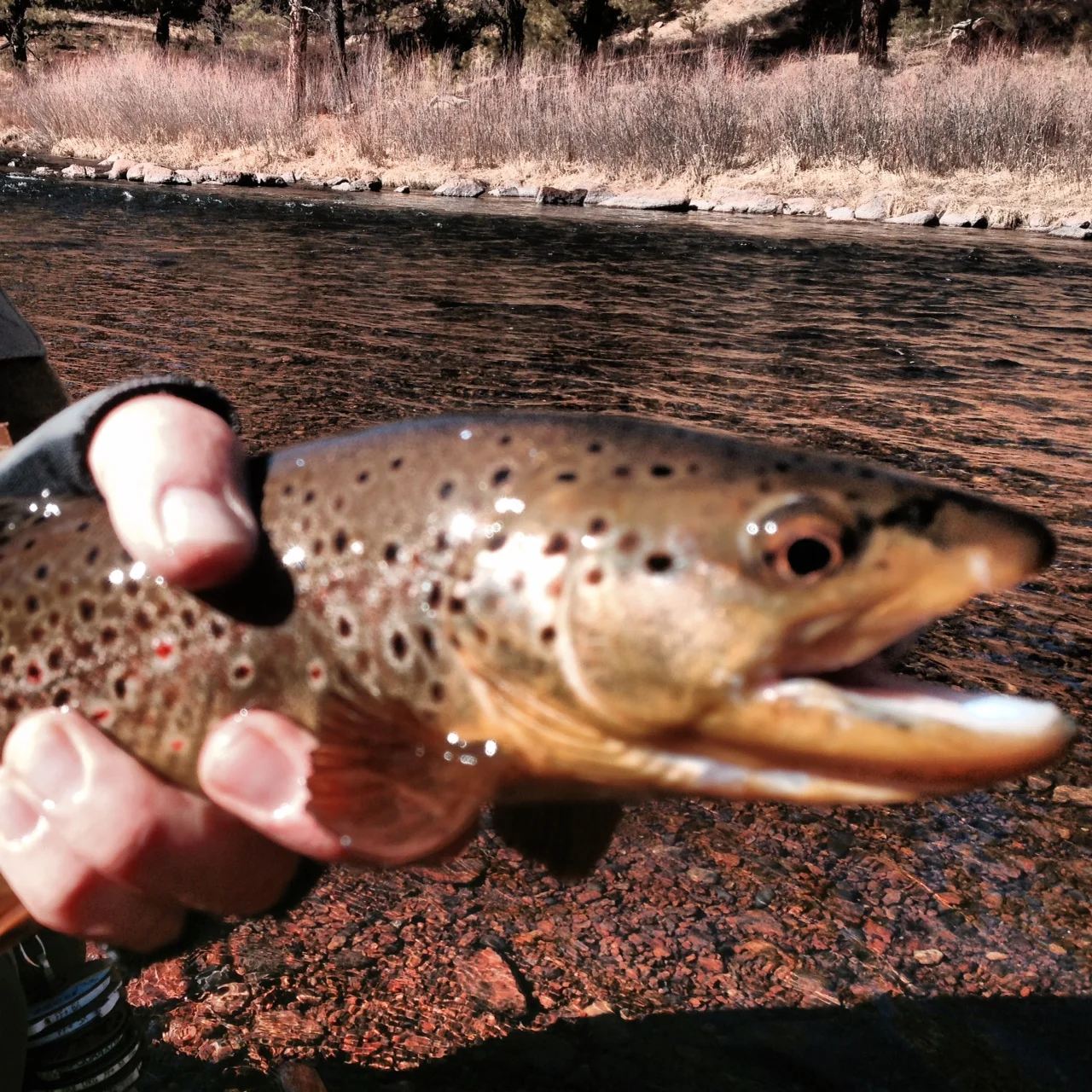 Photo Gallery — .DRY FLY ARMORY.