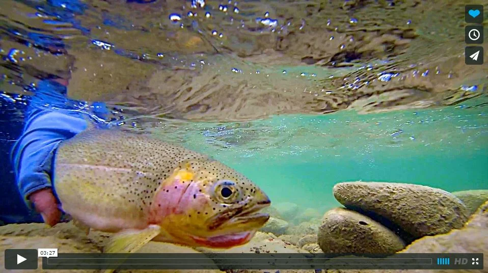 Always Worth the Trip