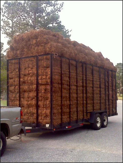 cage trailer.jpg
