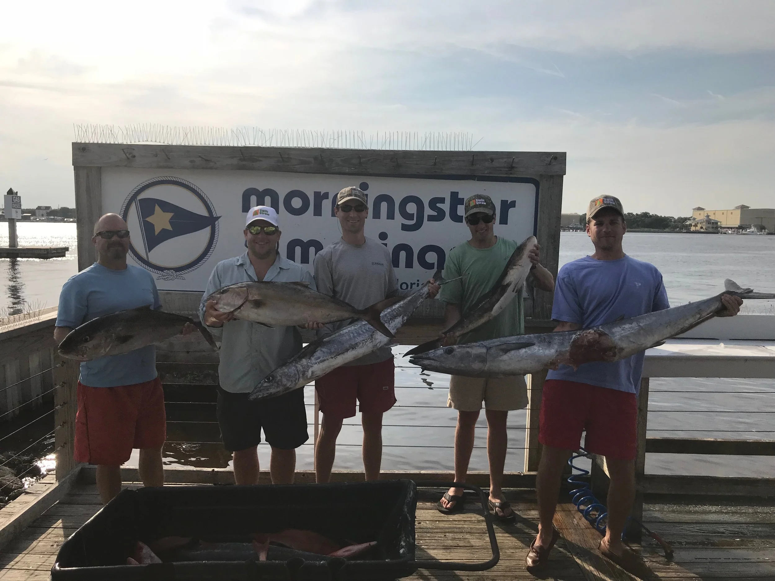 cobia.jpeg