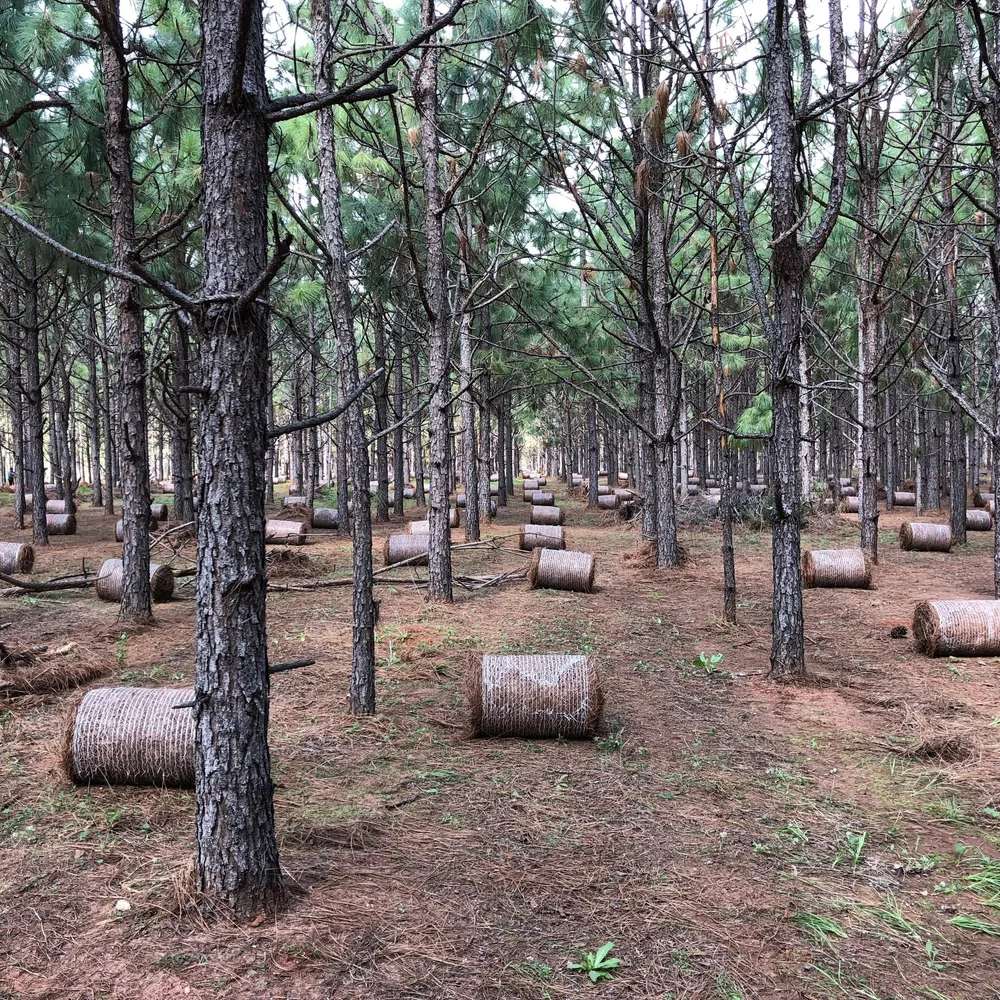 OUR STORY — SWIFT STRAW