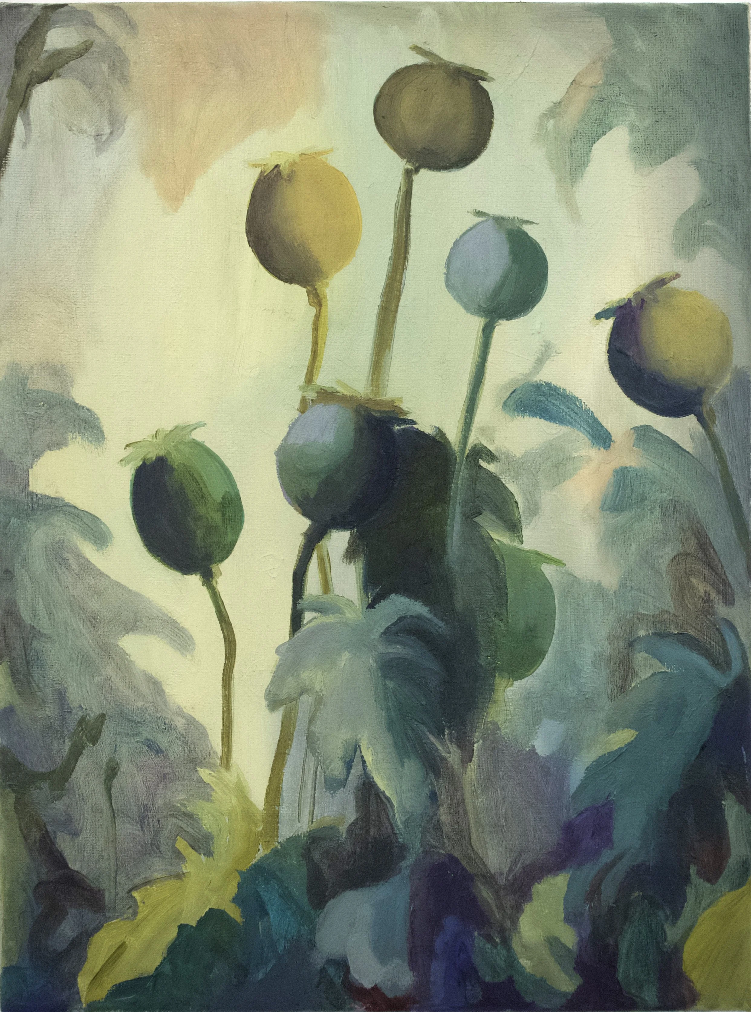 poppy heads copy.jpg