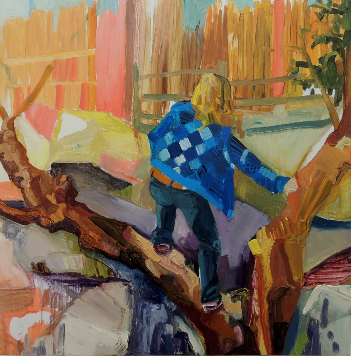 Climbing tree, Frontierland