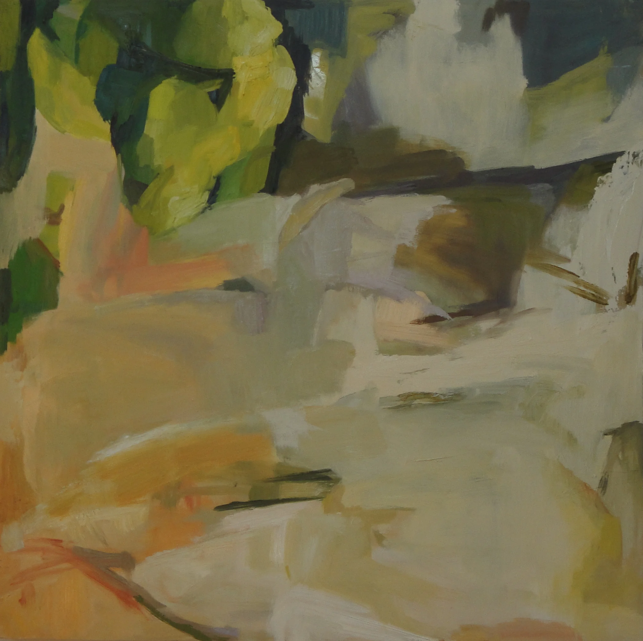 Golden Birch