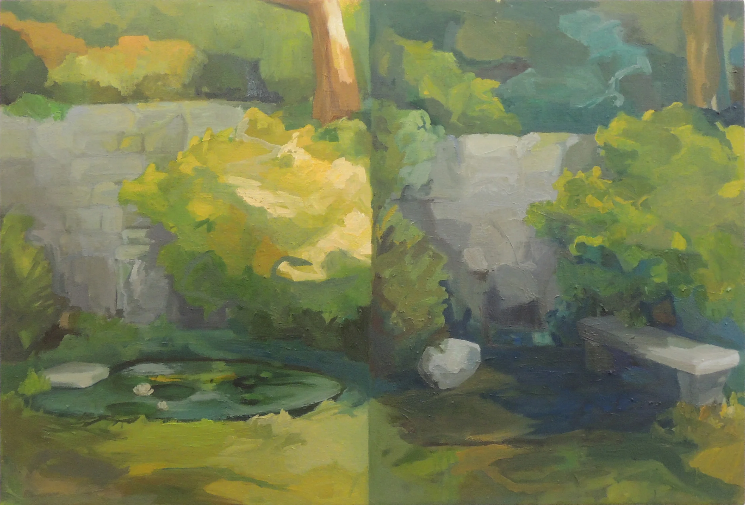 The Pond: Before and After