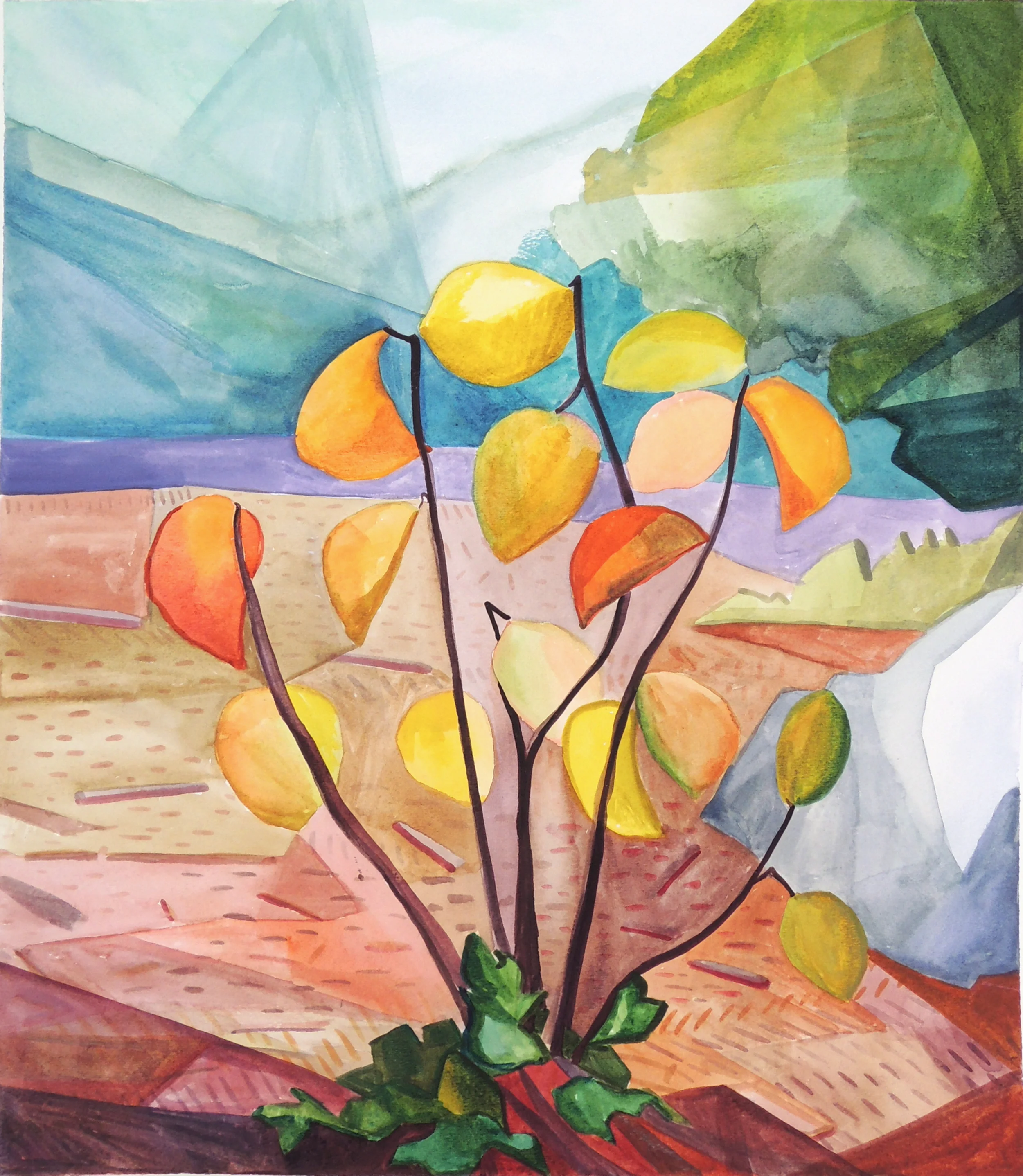 Golden Leaves, Hatch Hetche Watershed