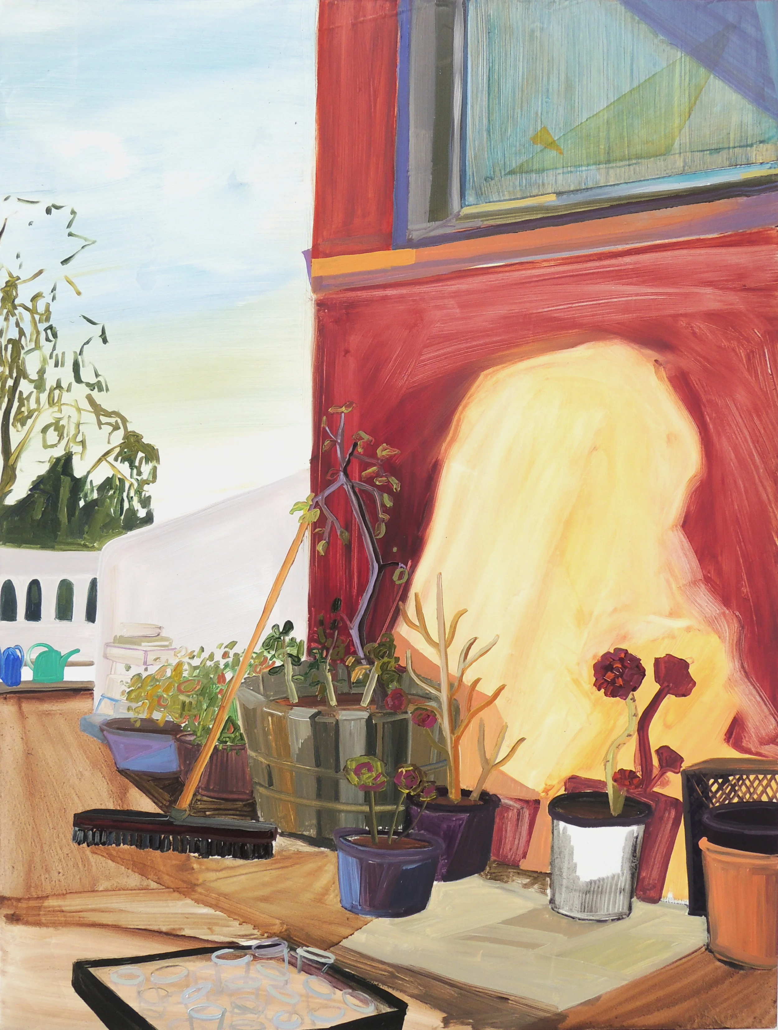 Drought Resistant Garden