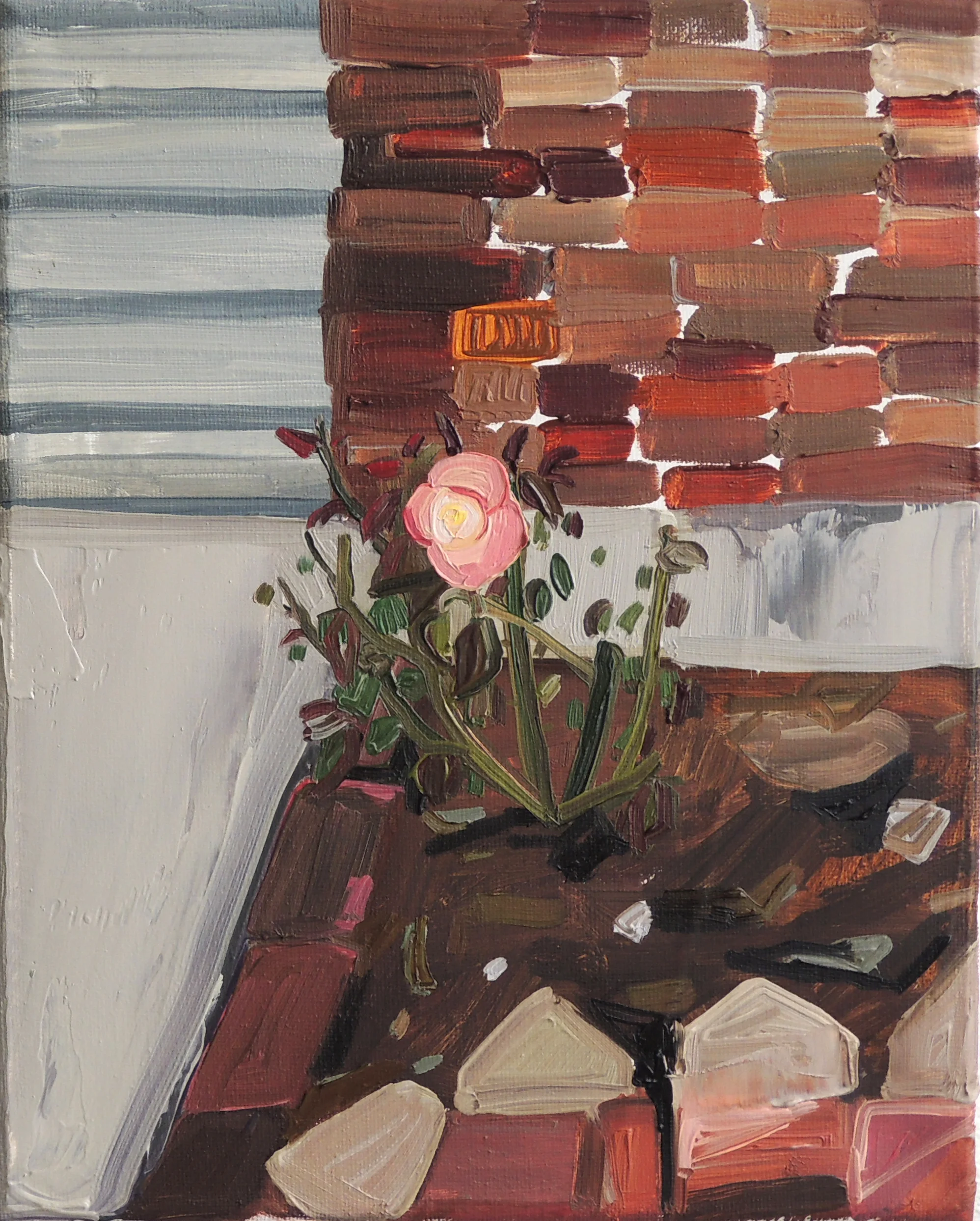 Companion Plant No. 4