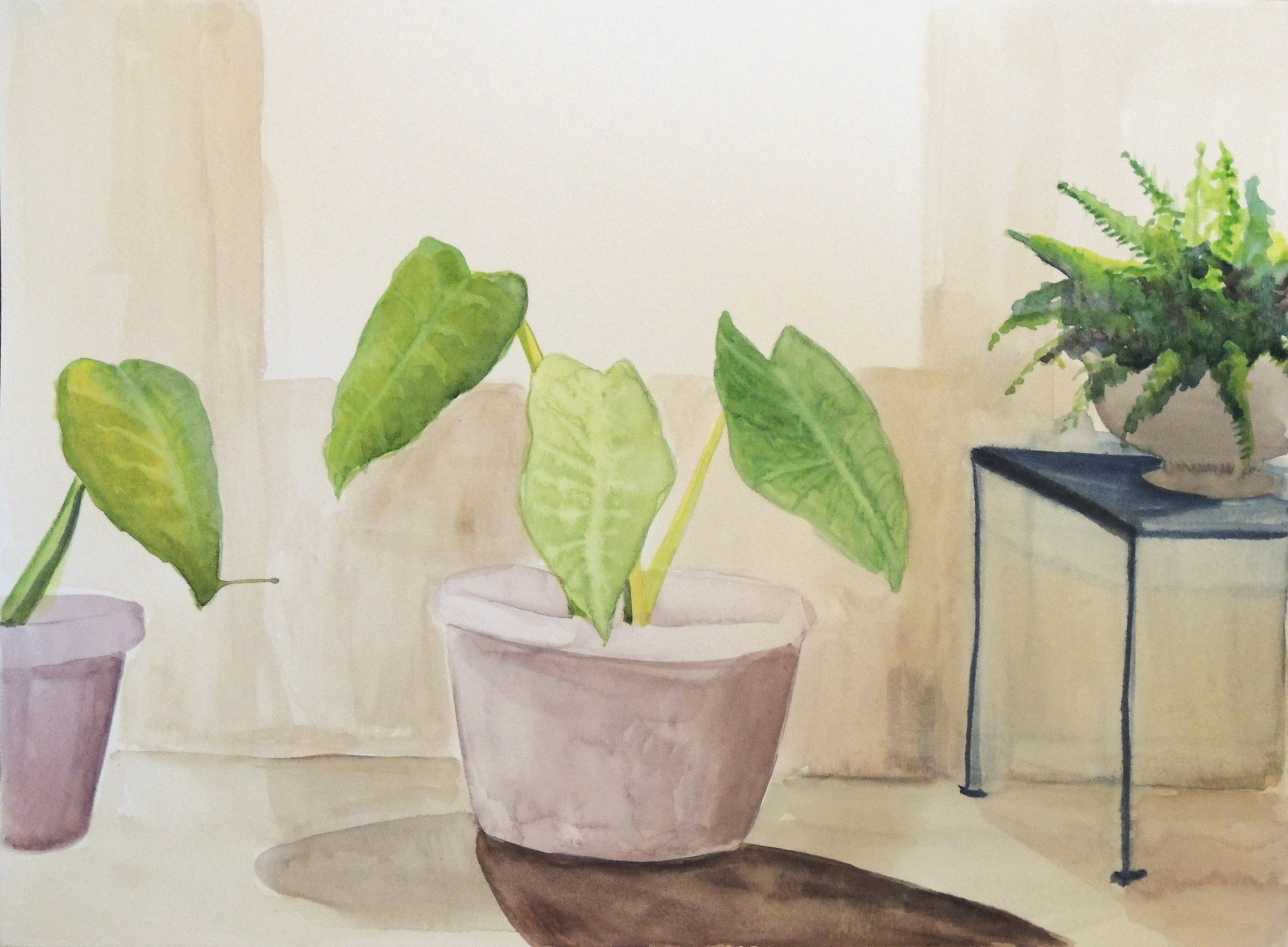 Hothouse Leaves