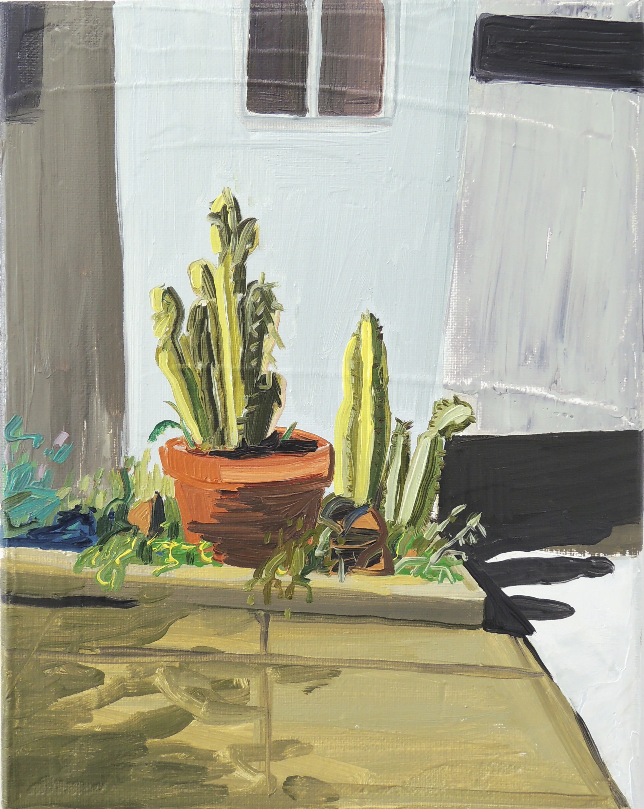 Companion Plant No 10