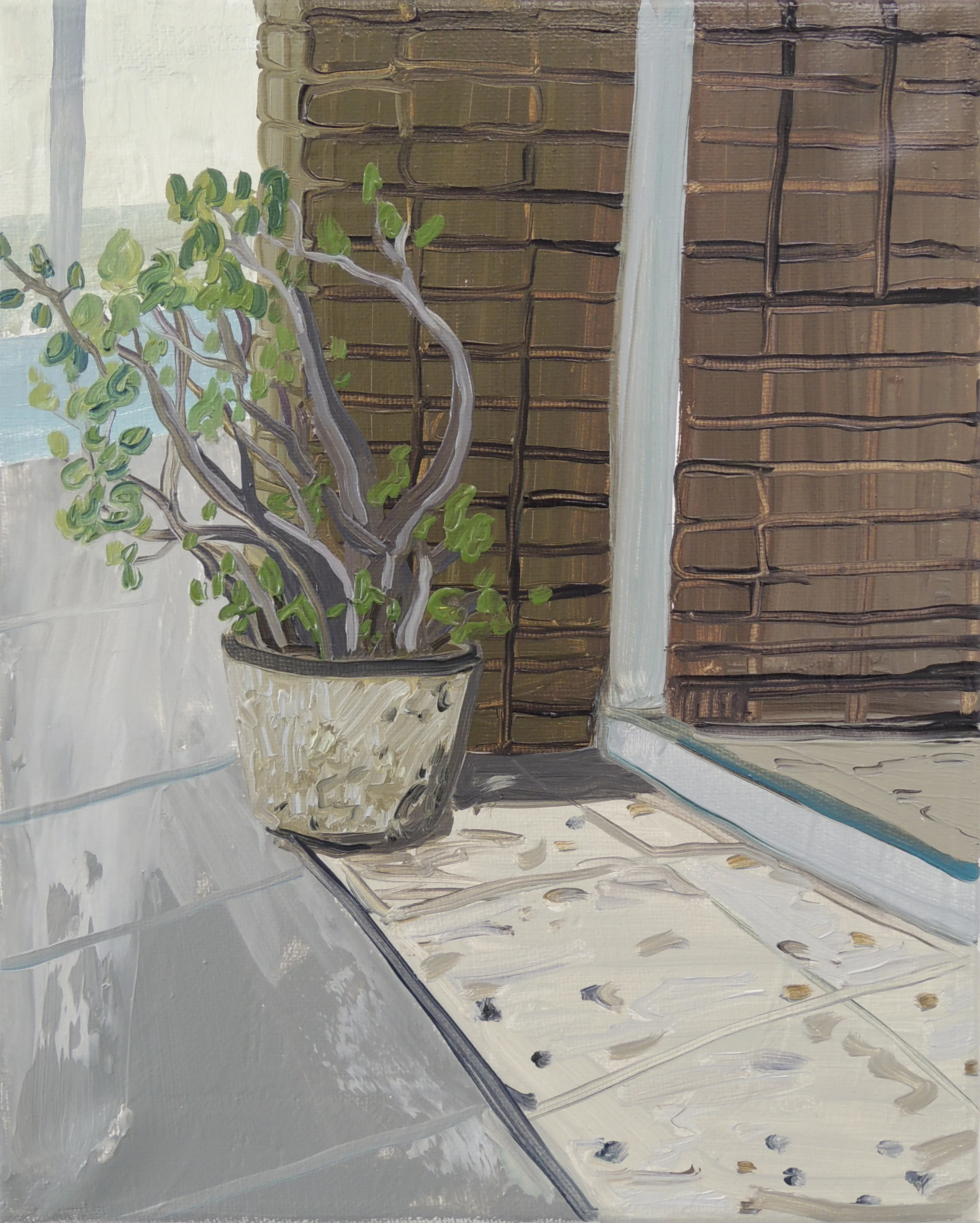 Companion Plant No 11