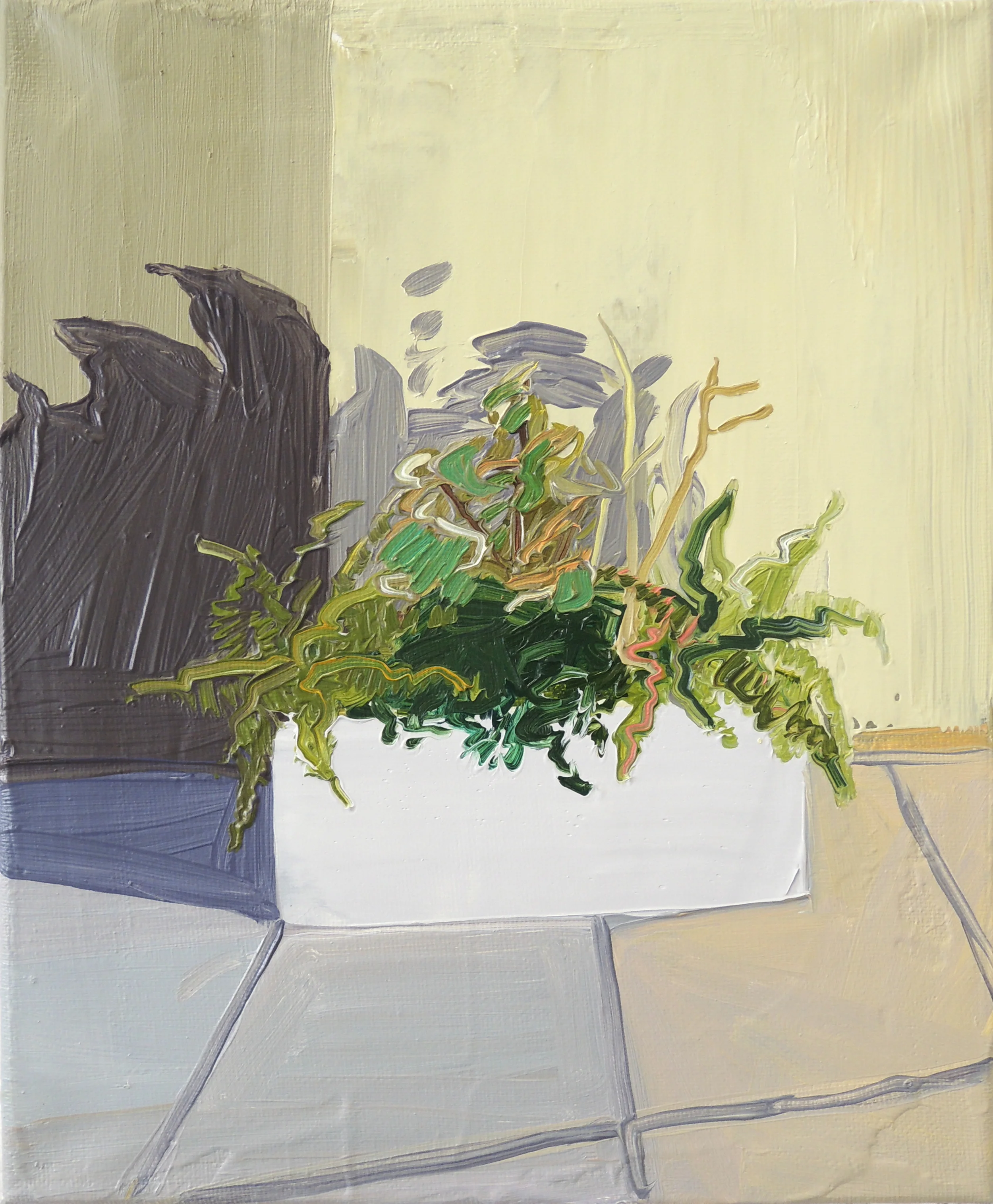 Companion Plant No 12