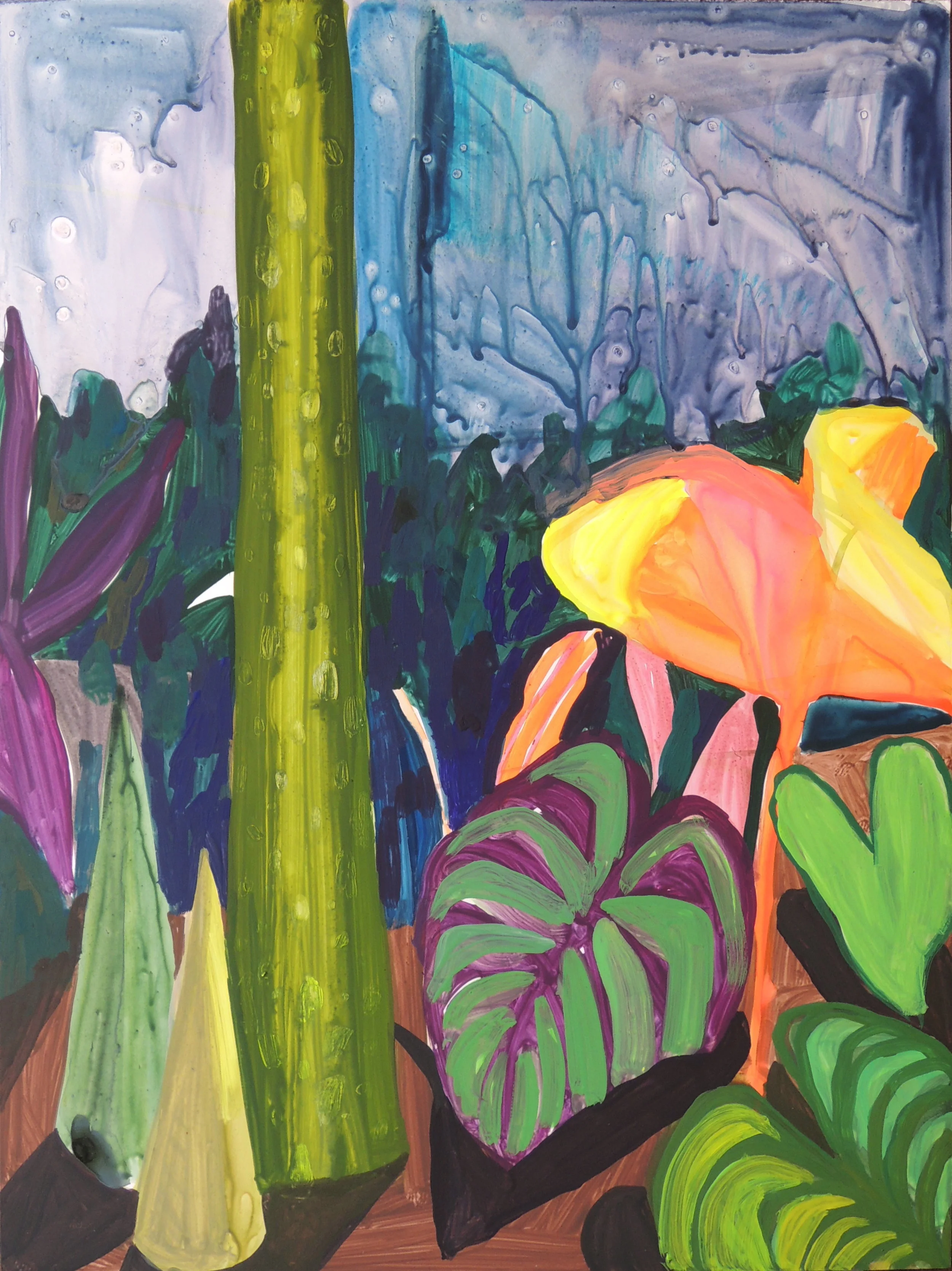 Greenhouse Understory