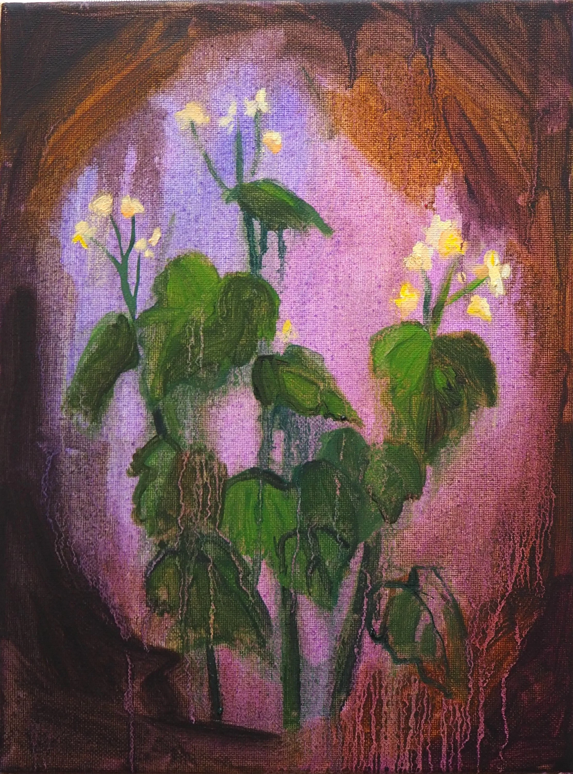 Garlic Mustard