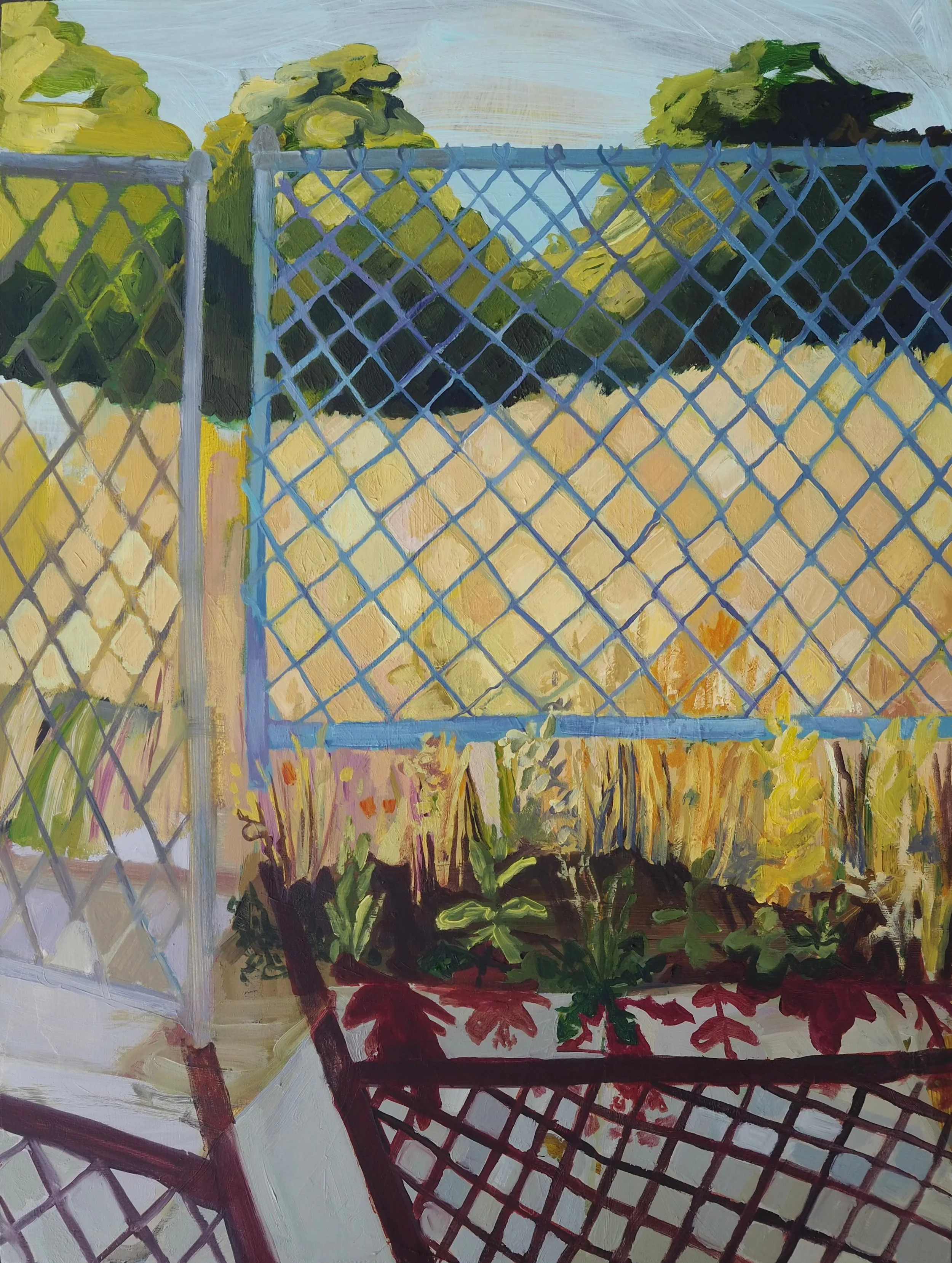 Abandoned Meadow with Chain Link