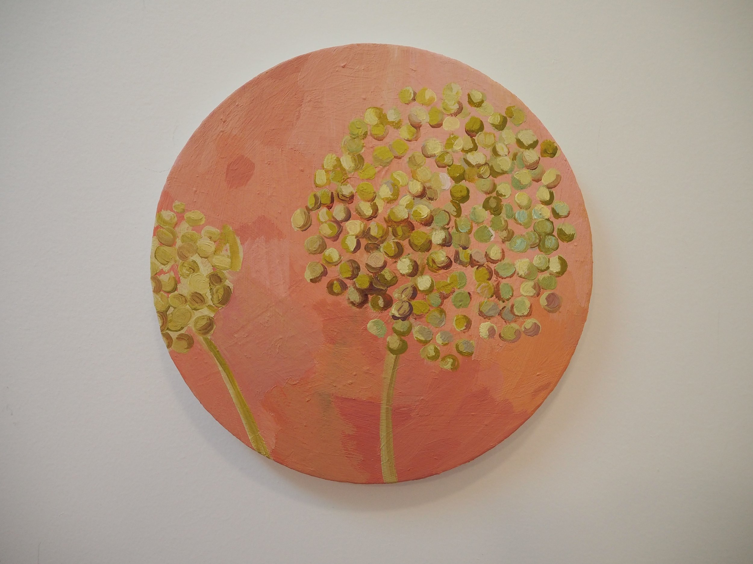 Allium Seedhead, Peach